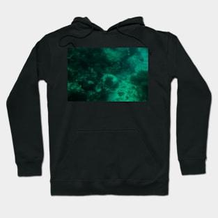 Under the Sea Hoodie